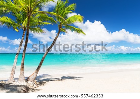 Beautiful tropical white beach and coconut palm trees. Holiday and vacation concept. 