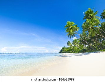 Beautiful Tropical White Sand Beach