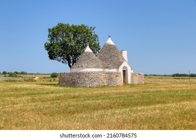 Beautiful trullo, typical Apulian traditional dry stone conical construction, with tree in the countryside of Apulia, Italy. Southern Italy landscape, Puglia landscape - Shutterstock ID 2160784575