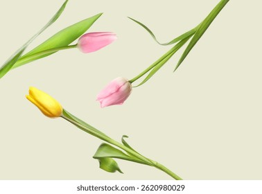 Hermosos tulipanes en el aire sobre fondo verde claro