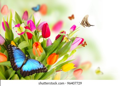 22,762 Butterfly Tulip Images, Stock Photos & Vectors | Shutterstock