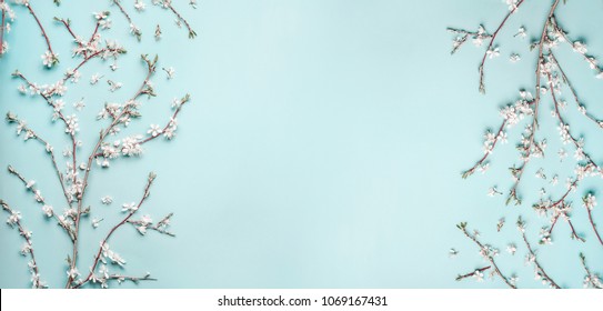 Mooie turquoise blauwe achtergrond met lentekersenbloesemtakken, bovenaanzicht, vlakke leg, frame. Creatieve lente-lay-out, banner of sjabloon: stockfoto