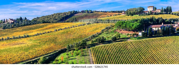 Beautiful Tuscany countryside - vast vineyards in Chianti region of Italy