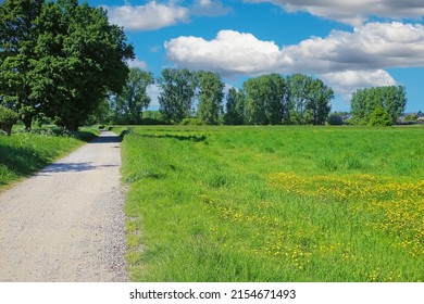 Beautiful Typical Rural Riverside Lower Rhine Landscape With Cycling Path, Green Meadow Yellow Buttercup Flowers, Blue Summer Sky - Viersen, Niers, Germany