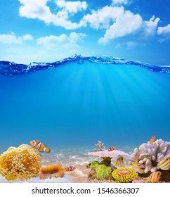 Beautiful Under Water Deep Blue Sea With Coral And  Fish At The Sandy Bottom