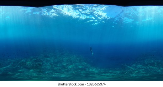 Beautiful Underwater Photo Captured With A 360 VR Style Camera And Underwater Housing. Located In Hawaii, Black Lava Rock With Coral, A Vast View Of Dreamy Filtered Light With Fish, Diver, And Sealife