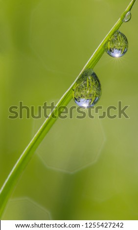 Similar – Foto Bild Wenn die Erde weint Gras