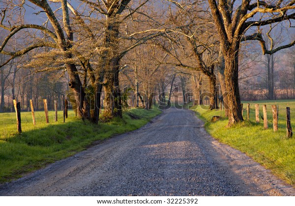 Beautiful Unpaved Country Road Lined Large Stock Photo Edit Now 32225392