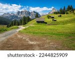 Beautiful Val Badia valley with wooden huts on the wonderful green fields, Dolomites, Italy, Europe