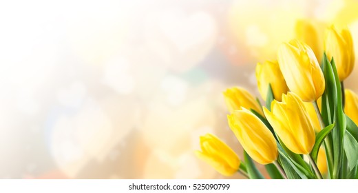 Beautiful Valentines day background with tulip flowers, holiday card