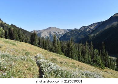 A Beautiful Valley And Meadow View From The Badger Valley To Grand Pass Trail Loop In Washington.