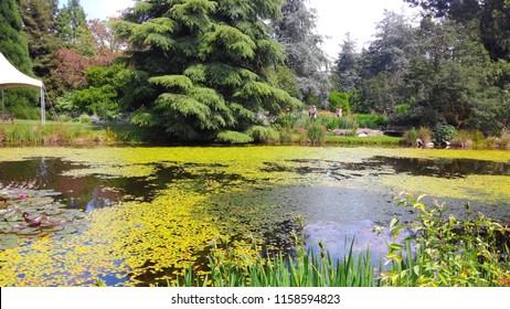 Beautiful Vandusen Botanical Garden, Vancouver BC Canada