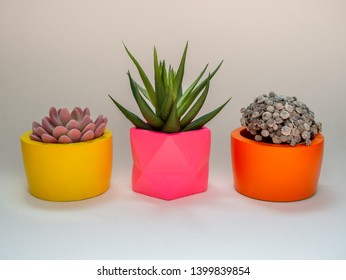 3 Paint Pots Images Stock Photos Vectors Shutterstock