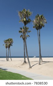 Beautiful Venice Beach Boardwalk