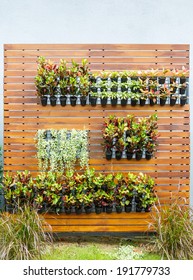 Beautiful Vertical Garden In City Around Office Building