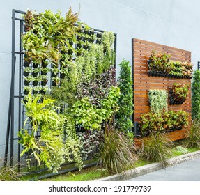 Beautiful Vertical Garden In City Around Office Building