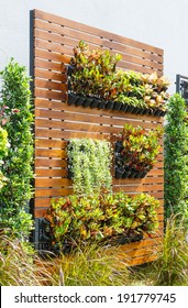 Beautiful Vertical Garden In City Around Office Building