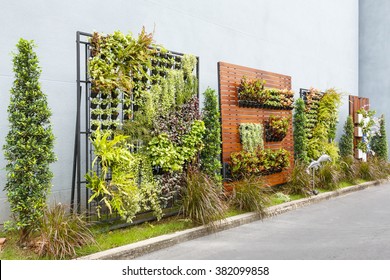 Beautiful Vertical Garden In City Around Office Building