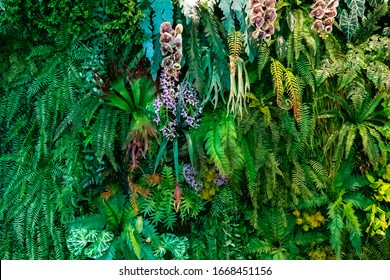 Beautiful Vertical Garden On The Wall Of The Building Consisting Of Many Vegetables. Ideas For Interior And Exterior Design And Background.