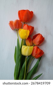 A beautiful vertical shot of tulips