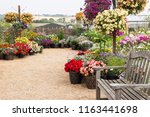 A beautiful vibrant flower garden corner with variety of flowers - Hyde Hall garden, Essex, UK