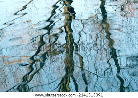 beautiful vibrating reflections in the water, thin serpentine lines of tree trunks, abstract winding lines sway, shimmer, glare, blurred background for the designer, concept of serenity of nature