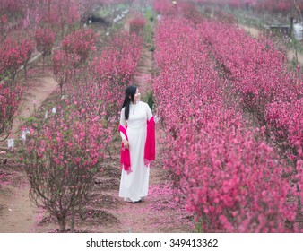 Beautiful Vietnamese Girl Traditional Dress Ao Stock Photo 349413362 ...