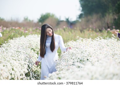 Beautiful Vietnamese girl with traditional dress (ao dai) is in white daisy flower garden in Hanoi, Vietnam