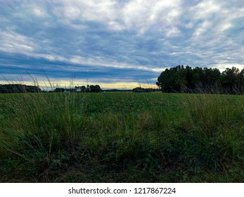 A Beautiful View