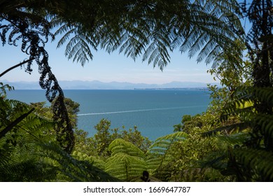 Beautiful View Of Abel Tasman Track