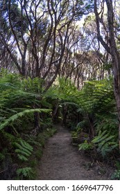 Beautiful View Of Abel Tasman Track