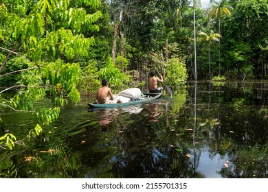 Beautiful view of Amazon rainforest trees and two man paddling a boat to collect acai berries in the forest on sunny summer day. Concept of environment, ecology, sustainability, biodiversity, nature. - Shutterstock ID 2155701315