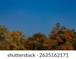 Beautiful view of the Anhui autumn scene