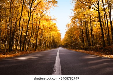 Beautiful view of asphalt road going through autumn forest - Powered by Shutterstock