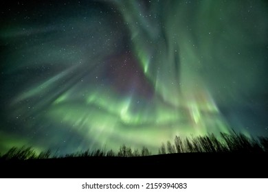 A beautiful view of aurora lights show over Fairbanks, Alaska  