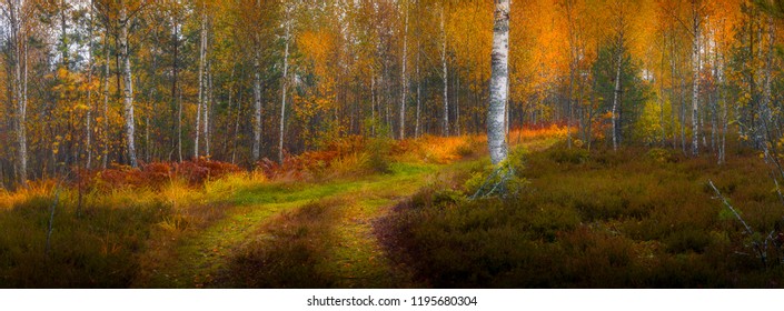 beautiful view of autumn landscape, good background