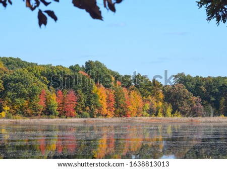 Beautiful view of autumn trees by the lake in Waterloo Park, Ann Arbor, Michigan, USA. Reflection of colorful leaves in lake water under blue sky. 