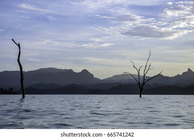 Beautiful view background.