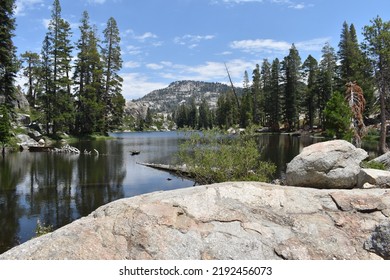 A Beautiful View Of Bear Lake In The Emigrant Wilderness Of Stanislaus National Forest. 