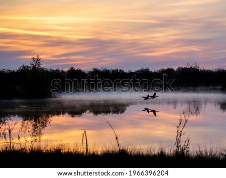 Similar – schöner Sonnenaufgang über dem See mit Pier und Yachten