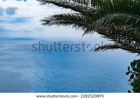 Beautiful view of the blue Tyrrhenian sea with palm tree branches on the right on a summer sunny day on the island of Capri, Italy, close-up side view.