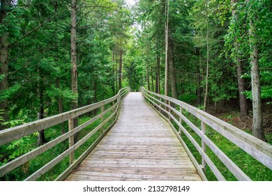 Beautiful View Of The Board Walk At Island Lake Conservation Area In Orangeville, Ontario, Canada