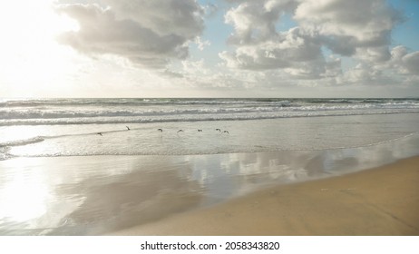 Beautiful View Of California Tijuana Ocean Beach