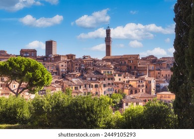 Beautiful view of campanile of Siena Cathedral, Duomo di Siena, and Old Town of medieval city of Siena in the sunny day, Tuscany, Siena province, Italy - Powered by Shutterstock