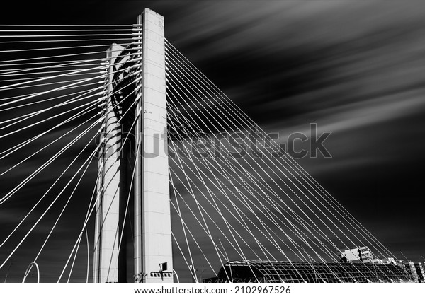 A beautiful view of a cantilever bridge\
with many ropes in a blurred cloudy\
background
