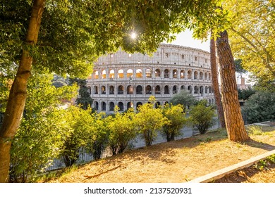 Beautiful view of Colosseum through trees in park on a sunny day. Traveling Italian landmarks concept. Architecture and parks in Rome