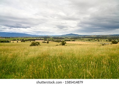 Melbourne Countryside Images Stock Photos Vectors