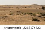 Beautiful view of the desert landscape with sand dunes and desert vegetation growing in patches at the Al Marmoom desert conservation reserve at Al Qudra in Dubai, United Arab Emirates.