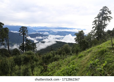 Beautiful view from famous Dochula Pass makes everyone stop to enjoy the views and landsacpe. The natural forest of Bhutan has been the pride of the country besides providing livelihood to villagers - Shutterstock ID 1712862367