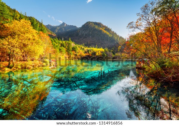 Beautiful View Five Flower Lake Multicolored Stock Photo Edit Now
